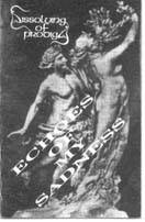 Dissolving Of Prodigy : Echoes of My Sadness